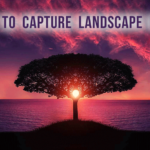 6 Tips to Capture Landscape Photos